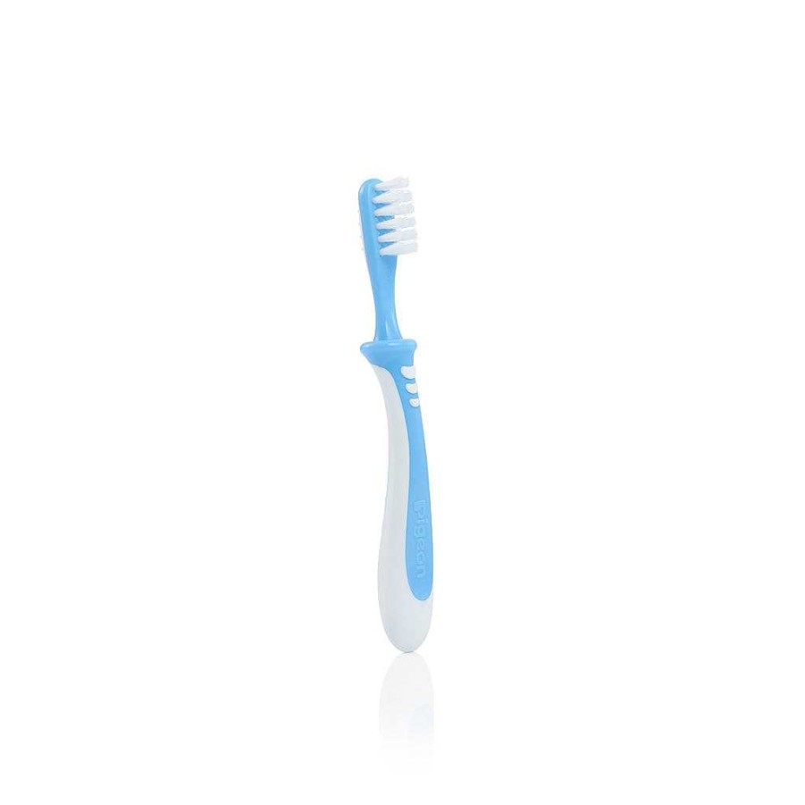 Bath Pigeon | Pigeon Training Toothbrush, Lesson 3 Blue