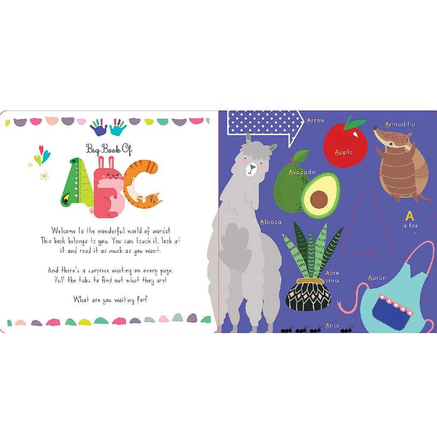 Plays Shoebox Media Baby Books | Shoebox Media: Big Book Of Abc