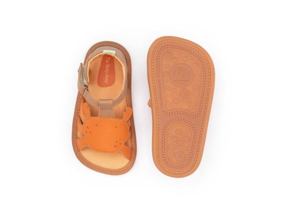 Dress Tip Toey Joey Shoes | Tip Toey Joey Craby - Alderwood/ Tangerine