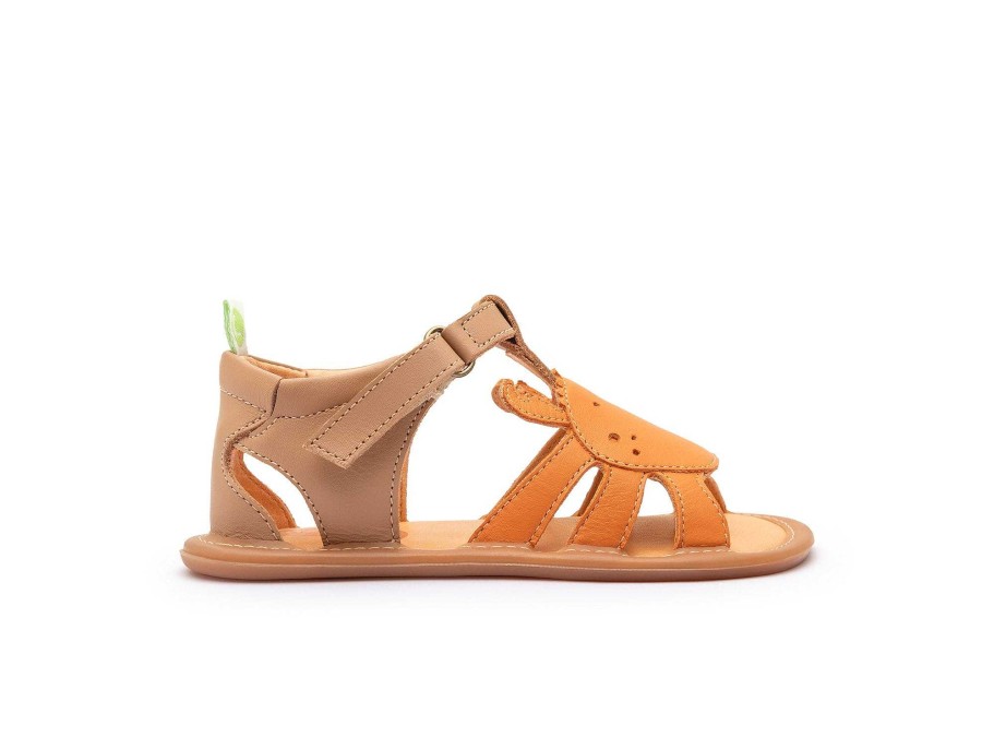 Dress Tip Toey Joey Shoes | Tip Toey Joey Craby - Alderwood/ Tangerine